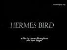 Hermes Bird