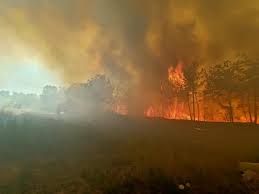 Gironde. Incendie à Landiras : les photos du feu qui a détruit 1000  hectares de forêt | Le Républicain Sud-Gironde