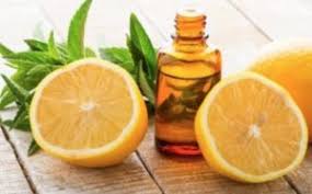 How to make a diy homemade mosquito repellent (that really works). Lemon Eucalyptus Oil Is As Effective As Deet For Mosquitos According To Cdc