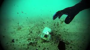 Resultado de imagen de neteja fons marí