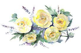 bouquet of yellow flowers watercolor