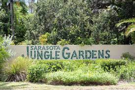 Sarasota Jungle Gardens The Areas Only