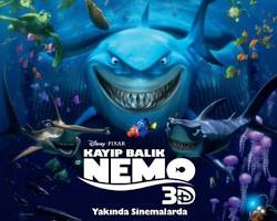 Kayıp Balık Nemo (2003) filmi resmi