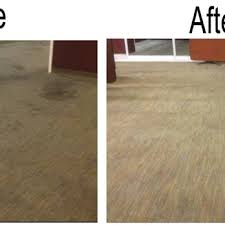 zebra carpet cleaning 1813 e main st