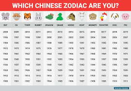 Chinese Zodiac Personality Money Traits Senseicat Steemit