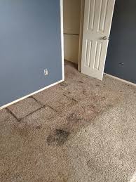 carpet cleaning in plainview texas