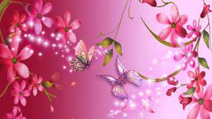 pink flower erflies wallpaper