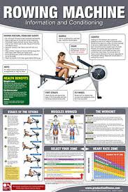 Rowing Machine Workout Professional Fitness Gym Wall Chart