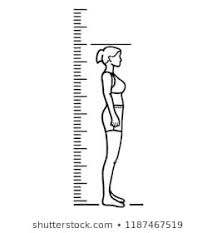 Body Height Stock Illustrations Images Vectors Shutterstock