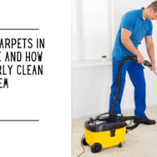 professional carpet cleaning companies