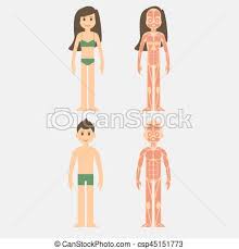 Stylized Male And Female