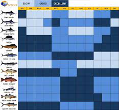 fishing guideline chart of costa rica