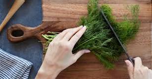 Is dill a herb or spice?