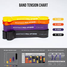 Resistance Muscle Band Set