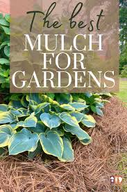 The Best Mulch For Use In Flower Beds