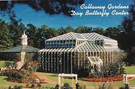erfly center callaway gardens