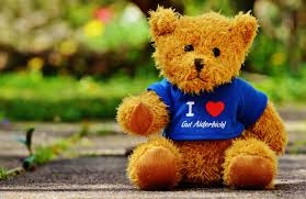 free images sweet cute teddy bear
