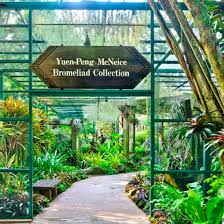 national orchid garden admission ticket
