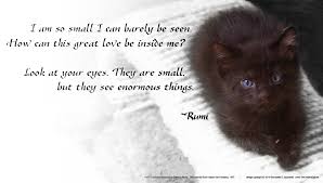 poetry for sunday rumi this great