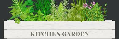 Indian Kitchen Garden Plant Vegetable