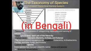 species and taxonomy concept in bengali