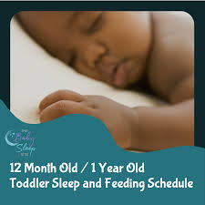 toddler sleep feeding schedule