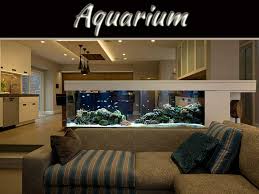 Tips For Interior Decorating With Aquariums | My Decorative gambar png