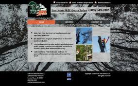 Contact the professional tree climbers at trinity tree experts & landscaping llc today. Safe Fast Tree Service