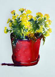 watercolor painting chrysanthemums