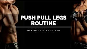 best push pull legs routine for m