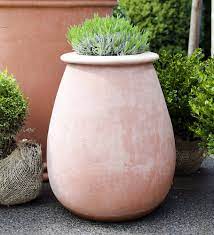 7 tips for extra large potted plants