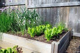 How To Create A Square Foot Garden D