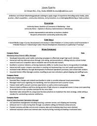 Resume objective example business   Fresh Essays Resume Resource Sample Resume Program Director Adult Education    