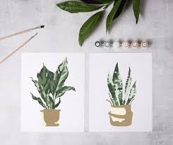 Potted Plants Paint By Number Kit Color