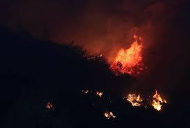 More images for orman yangını » Izmir Deki Orman Yangini Kontrol Altinda Bir Gozalti Gazete Karinca
