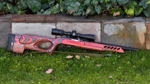 firearms review ruger 10 22 target