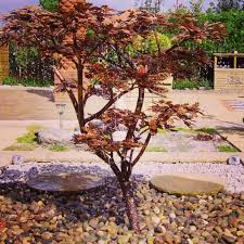 Garden Fountain Oak Tree Copper