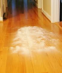 baby powdered floors rhapsody in rooms