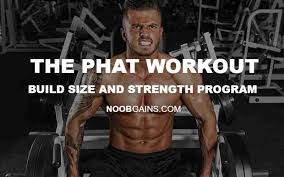 the phat workout layne norton s size