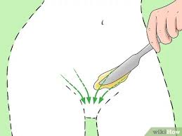 Most people see this as the pinnacle of painful waxing, but it doesn't have to be. How To Give Yourself A Brazilian Wax With Pictures Wikihow