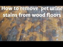 Water Damage Stains From Wood Floors