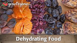 to dehydrate and preserve organic fruit