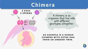 chimera definition and exles