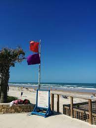 beach safety flags flying near ormond