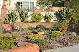 How To Drought Resistant Gardening