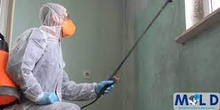 mold remediation texas mold removal