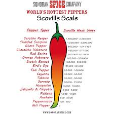 77 Explicit Chili Heat Scale
