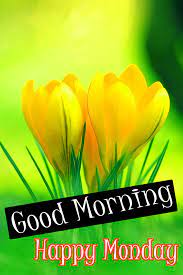 Flower Monday Good Morning Images Download