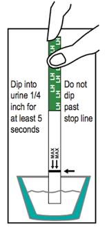 Ovulation Test Strip Instructions For Use Early Pregnancy