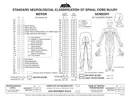 International Standards For Classification Of Spinal Cord